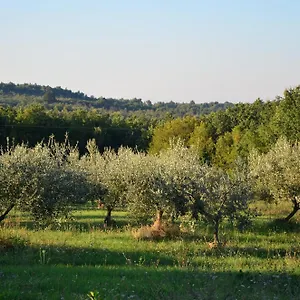 Olivetta - Istrische Mit Meerblick Nahe Porec Villa